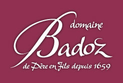 Logo Domaine Badoz